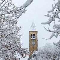 image of McGraw tower framed by snow covered tree branches