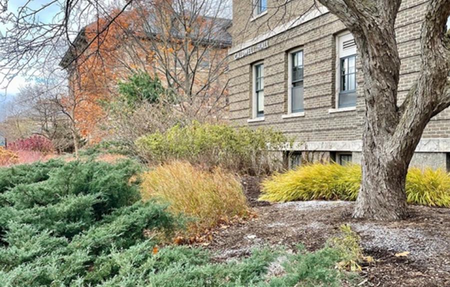 picture outside Caldwell Hall in the autumn