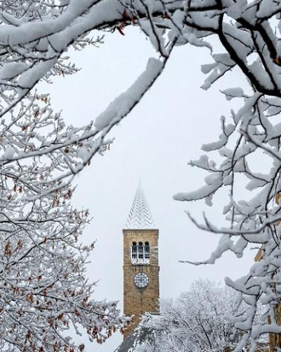 image of McGraw tower framed by snow covered tree branches